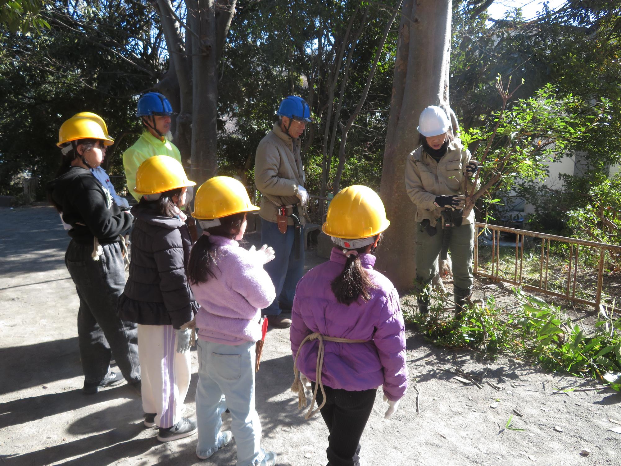 講師より枝の切り方について教わる子ども達の写真