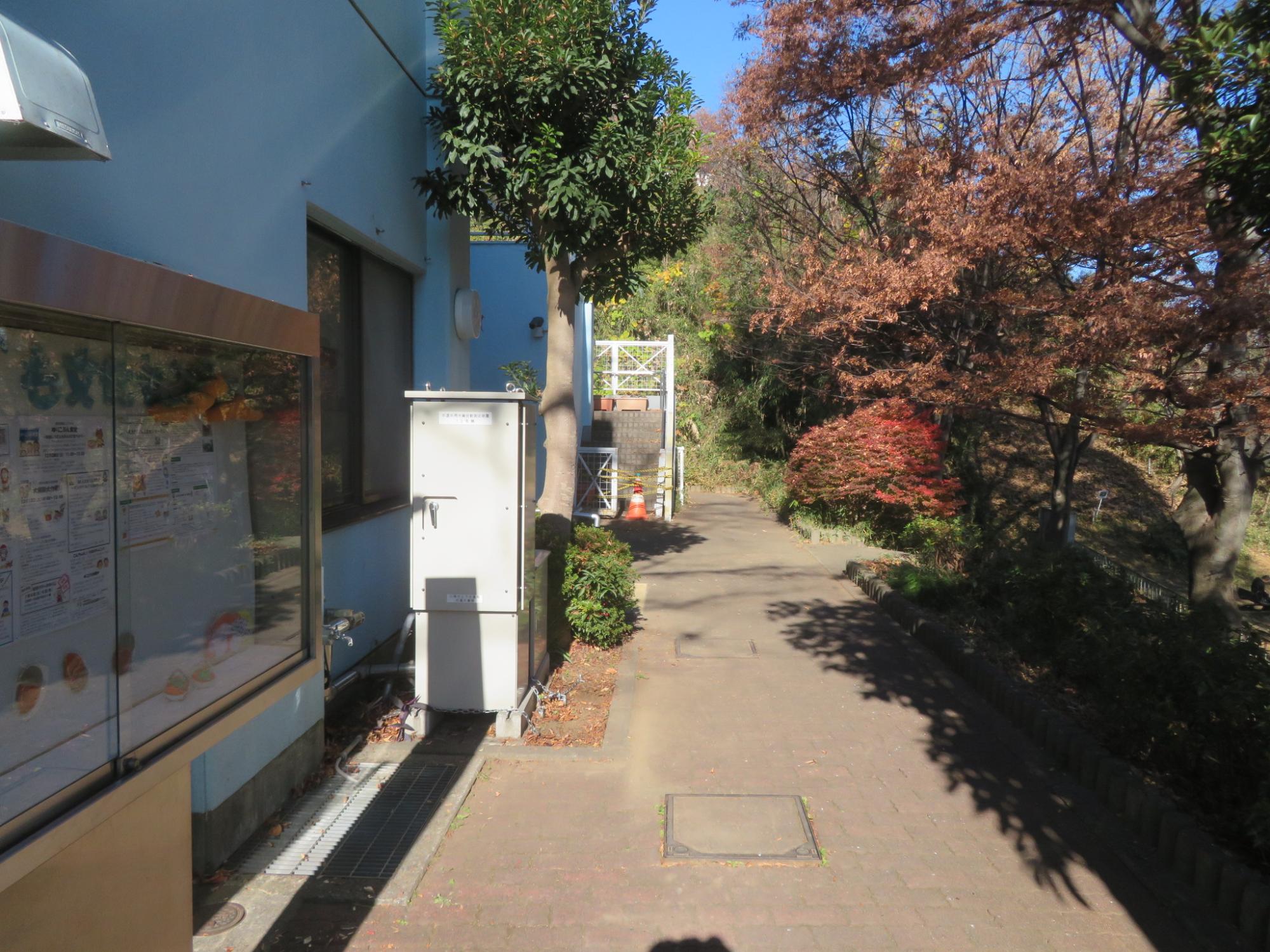 掃除をしてきれいなったこぶんの前の通りの写真