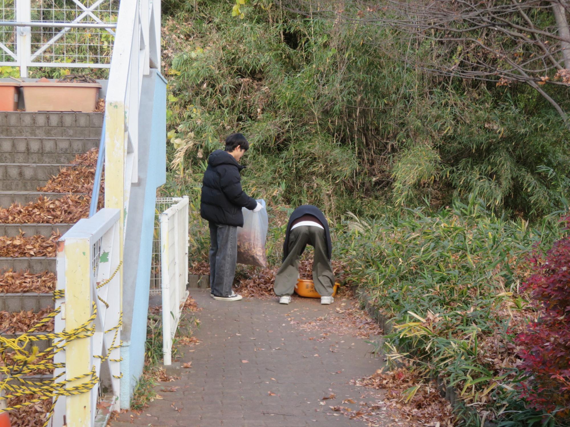 外の落ち葉を集めている写真